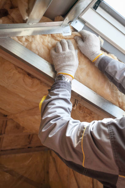 Types of Insulation We Offer in Alafaya, FL